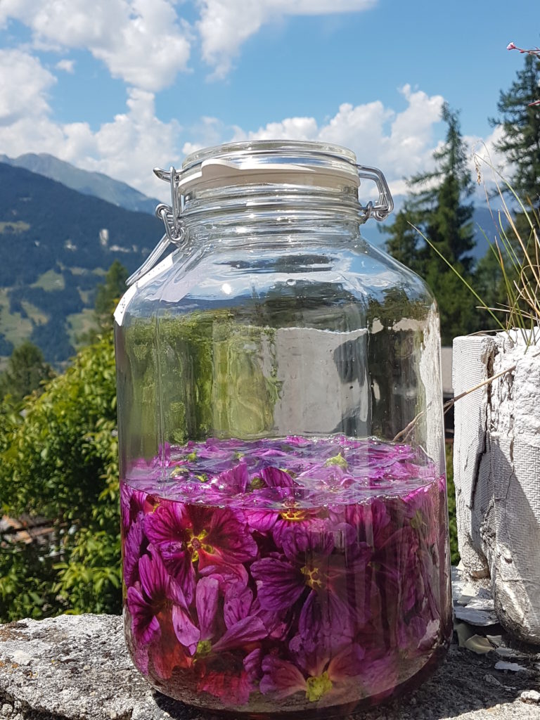 bocal mauve